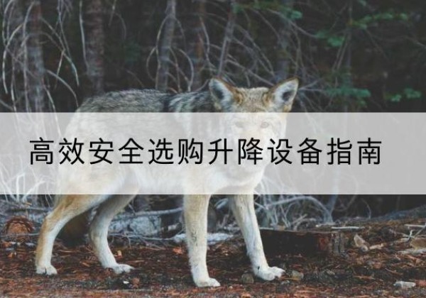 周至升降货梯厂家推荐-*安全选购升降设备指南