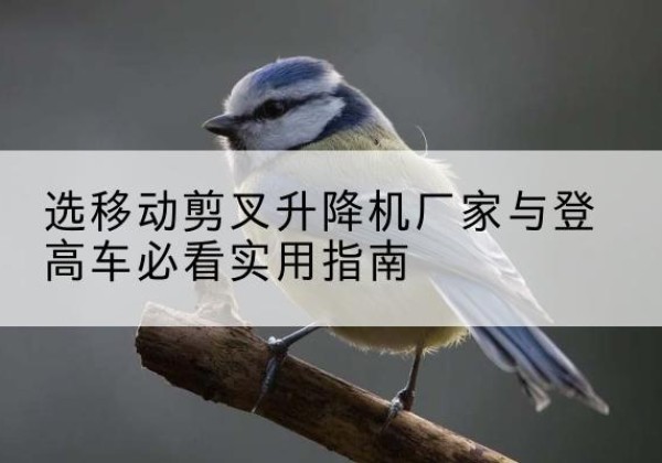 周至电动升降机厂家-选移动剪叉升降机厂家与登高车必看实用指南