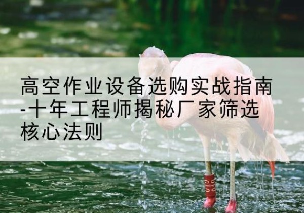 周至剪叉式升降机厂家-高空作业设备选购实战指南-十年工程师揭秘厂家筛选核心法则