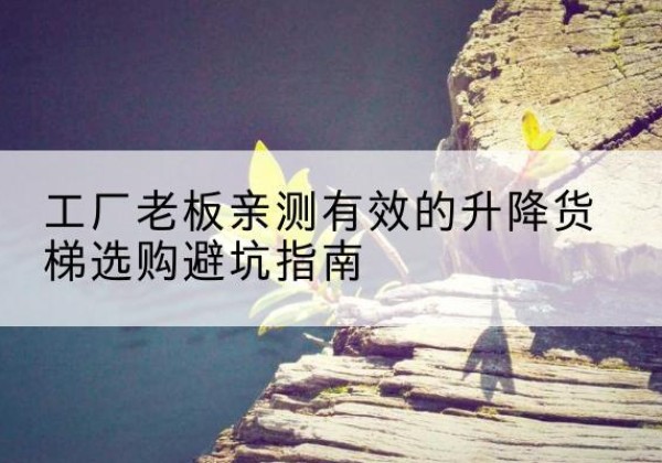 周至升降货梯怎么选-工厂老板亲测有效的升降货梯选购避坑指南